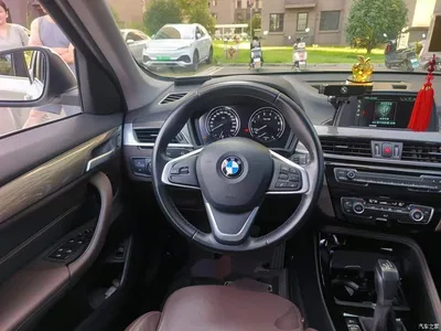 2019 BMW X1 sDrive18Li Premium Model, фото 3, лот 10467675