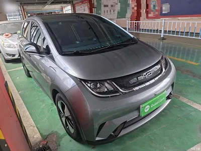 2023 BYD Dolphin 420km Fashion Edition, фото 4, лот 10258801