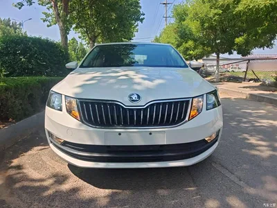 2019 Škoda Octavia 1.5L Auto Comfort Edition, фото 3, лот 10348000