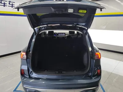 2020 Ford Escape EcoBoost 245 AWD Premium Edition, фото 4, лот 10293634