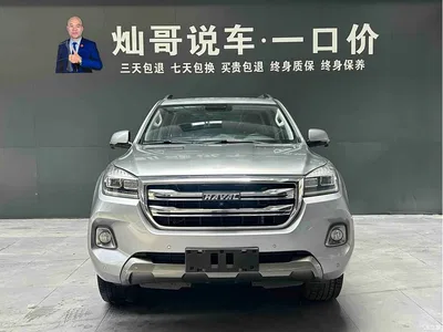 2020 Haval H9 2.0T Gasoline 4WD Smart Enjoyment 5-Seater, фото 2, лот 10296050