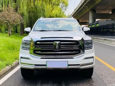 2023 Tank 500 EV Hi4-T, фото 2, лот 10344219