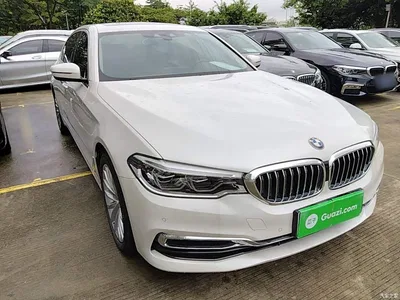 2020 BMW 5 Series New Energy 530Le Range Upgrade Luxury Package, фото 4, лот 10474064