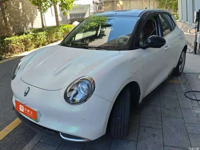 2023 Ora Good Cat 401km Standard Range Premium LFP, фото 1, лот 10447840