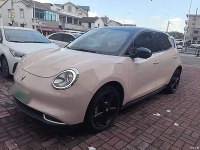 2023 Ora Good Cat 401km Standard Range Comfort LFP, фото 1, лот 10330533