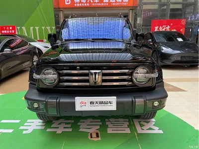 2021 Tank 300 Urban Edition 2.0T Stylish, фото 2, лот 10344510