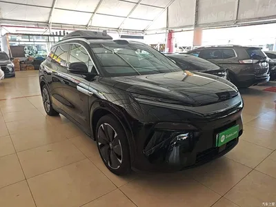 2025 BYD Tang L DM 175KM Drone Player Edition, фото 4, лот 10278087
