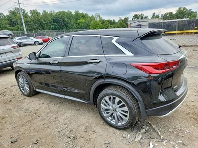 2024 INFINITI QX50 PURE, фото 2, лот 10884080