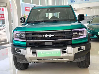 2023 Byd Leopard 5 Pilot Edition, фото 2, лот 10828665