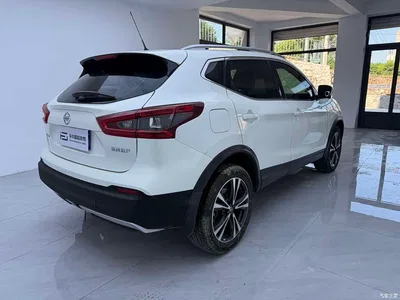 2022 Nissan Qashqai 2.0L CVT XV Prem.Pro Luxury Pilot Edition, фото 4, лот 10345903