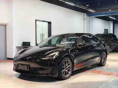 2022 Tesla Model 3 Model Rear-Wheel Drive Version, фото 1, лот 10357044