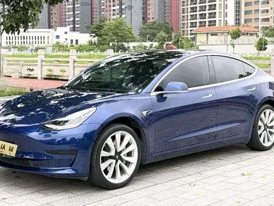 2019 Tesla Model 3 Standard Range Rear-Wheel Drive Upgrade, фото 3, лот 10598610