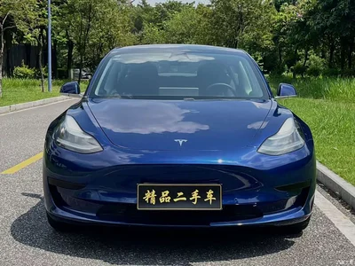 2019 Tesla Model 3 Standard Range Rear-Wheel Drive Upgrade, фото 2, лот 11314561