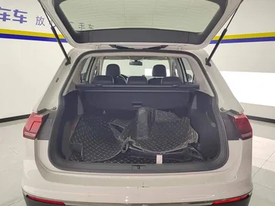 2020 Volkswagen Tiguan L 330TSI Auto 2WD Panorama Comfort China VI, фото 4, лот 10481791