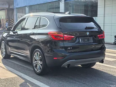 2019 BMW X1 sDrive20Li Leading Model, фото 3, лот 10467008