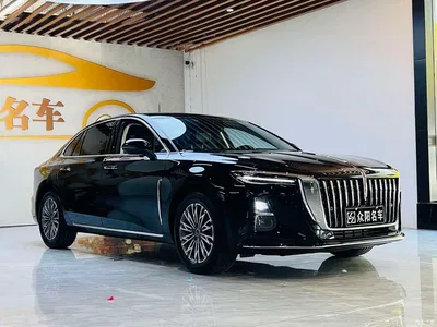 2025 Hongqi H5 1.5T DCT Flag Rhythm 500,000 Units Memorial Edition, фото 3, лот 10286402