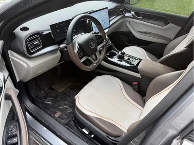 2023 BYD Qin PLUS Champion Edition DM-i 120KM Excellence, фото 3, лот 10363672
