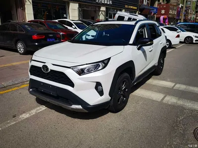 2022 Toyota RAV4 Rongfang 2.0L CVT 4WD Trend Edition, фото 1, лот 10296529
