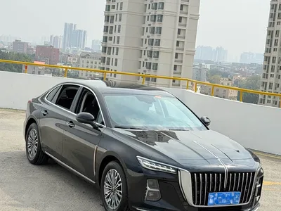 2024 Hongqi H5 1.5T DCT Smart Connect Flag Joy Edition, фото 3, лот 10361015
