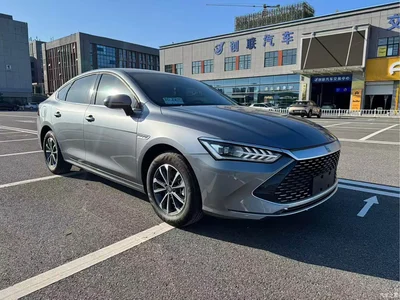 2024 BYD Qin PLUS Glory Edition DM-i 120KM Premium, фото 3, лот 10362925