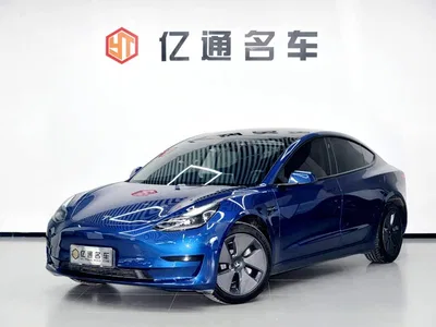 2022 Tesla Model 3 Model Rear-Wheel Drive Version, фото 1, лот 10369194