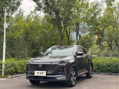 2022 Changan CS55 PLUS Model Second Generation 1.5T DCT Luxury Edition, фото 1, лот 10250080