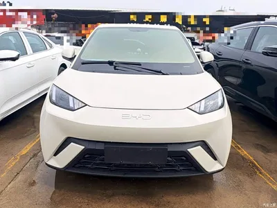 2024 BYD Seagull Glory Edition 305km Vitality Edition, фото 3, лот 10262964