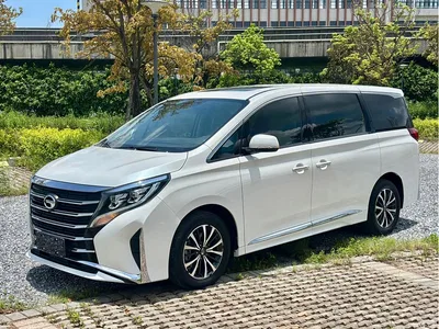 2021 GAC Trumpchi Trumpchi M8 Leading Show Series 390T Premium Edition, фото 1, лот 10420201