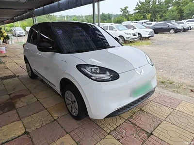 2024 Wuling Motors Wuling Bingo 203km Lite Edition, фото 4, лот 10370148
