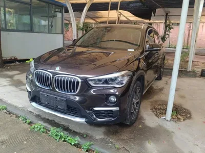 2019 BMW X1 sDrive18Li Premium Model, фото 1, лот 11537018
