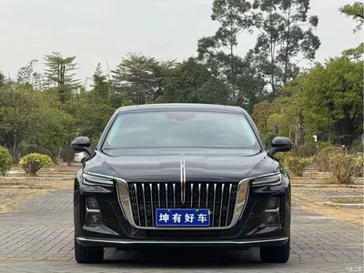 2025 Hongqi H5 1.5T DCT Flag Rhythm 500,000 Units Memorial Edition, фото 2, лот 10287763