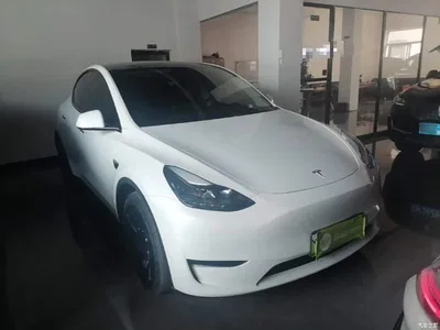 2021 Tesla Model Y Model Long Range AWD, фото 4, лот 10370137