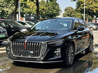 2023 Hongqi H5 2.0T Auto Smart Connect Flag Comfort, фото 1, лот 11181131