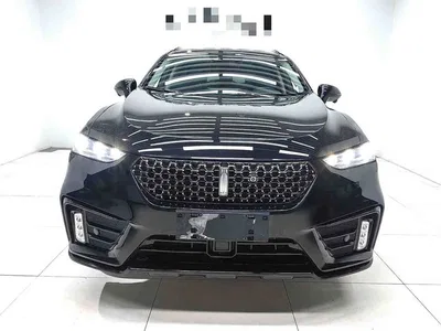 2020 WEY VV7 Model 2.0T Flagship, фото 2, лот 11448608