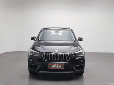 2019 BMW X1 sDrive20Li Leading Model, фото 3, лот 11548760