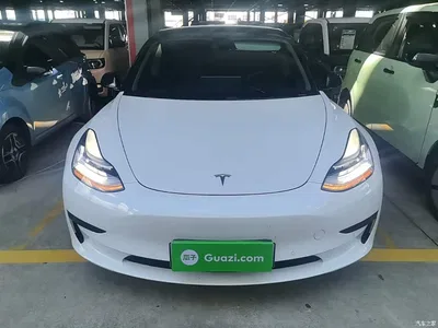 2020 Tesla Model 3 Standard Range Rear-Wheel Drive Upgrade, фото 3, лот 10375629