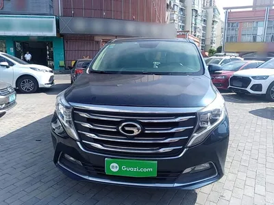 2018 GAC Trumpchi Trumpchi M8 320T Premium Edition, фото 3, лот 10593634