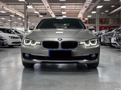 2016 BMW 3 Series 320Li Progressive, фото 2, лот 11530832
