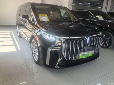 2022 Voyah Auto Voyah Dreamer Low Carbon Edition Home, фото 3, лот 10437000