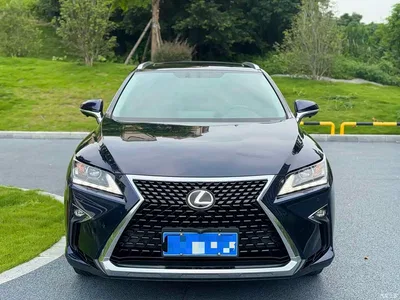2016 Lexus RX 300 2WD Comfort Edition China V, фото 2, лот 10313025
