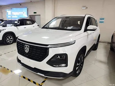 2021 Baojun 530 Global Car Anniversary Edition 1.5T CVT Luxury 5-Seater, фото 1, лот 10830818