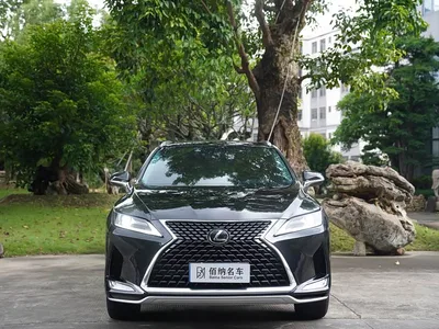 2020 Lexus RX Facelift 300 2WD Comfort Edition, фото 3, лот 10313104