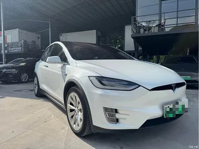 2017 Tesla Model X 100D Long Range, фото 1, лот 10352120
