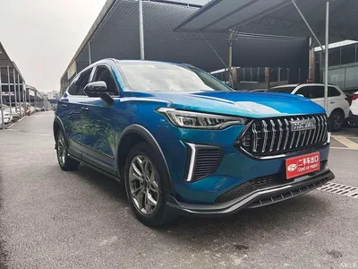 2022 Haval Chitu Power Edition 1.5T Purple Copper Rabbit, фото 3, лот 10281490