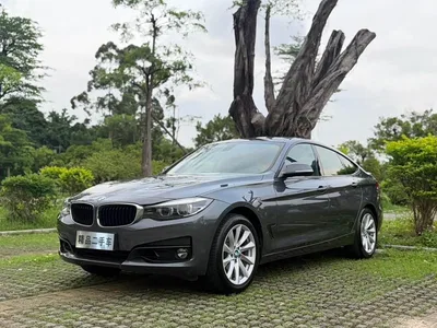 2019 BMW 3 Series GT 320i Fashion Model, фото 1, лот 10473427
