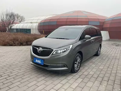 2017 Buick GL8 ES 28T Luxury China V, фото 1, лот 10250148
