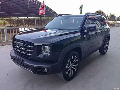 2022 Haval Big Dog 1.5T DCT FWD Border Collie Edition, фото 1, лот 10361768