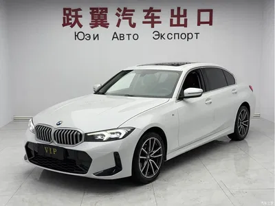 2023 BMW 3 Series 320Li M Sport Package, фото 1, лот 10481177