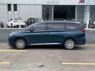 2020 GAC Trumpchi Trumpchi M8 390T Premium, фото 3, лот 10416971