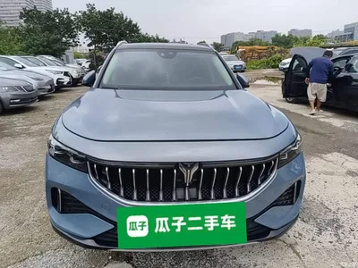 2021 Voyah Auto VOYAH FREE AWD Standard Range Extender Exclusive Luxury Package, фото 3, лот 10828166